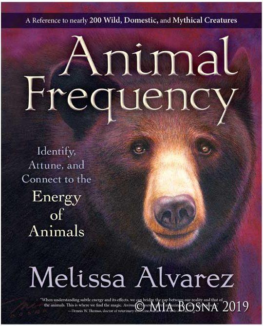 Bear book cover by Mia Bosna