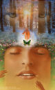 emerging vision