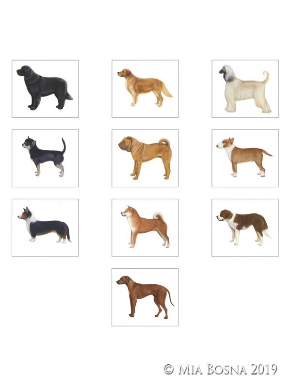 dog paintings