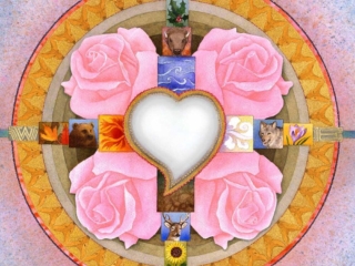 MedicineWheel=MiaBosna