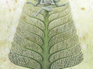 Shamanic journy-Shiva