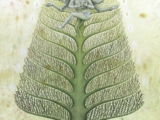Shamanic journy-Shiva
