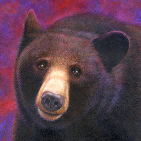 Painting of brown bear