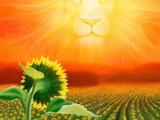 Leo Print by Mia Bosna