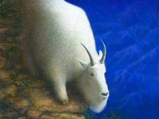 Capricorn Print by Mia Bosna